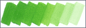 529 viridian - Gr.3